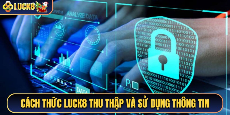 Quy trình thu thập và sử dụng dữ liệu tại nhà cái